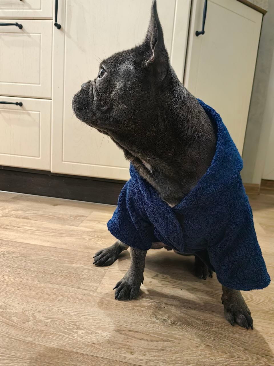 снимок Халат для собак махровый темно-синий от магазина BIO-TEXTILES ОПТ