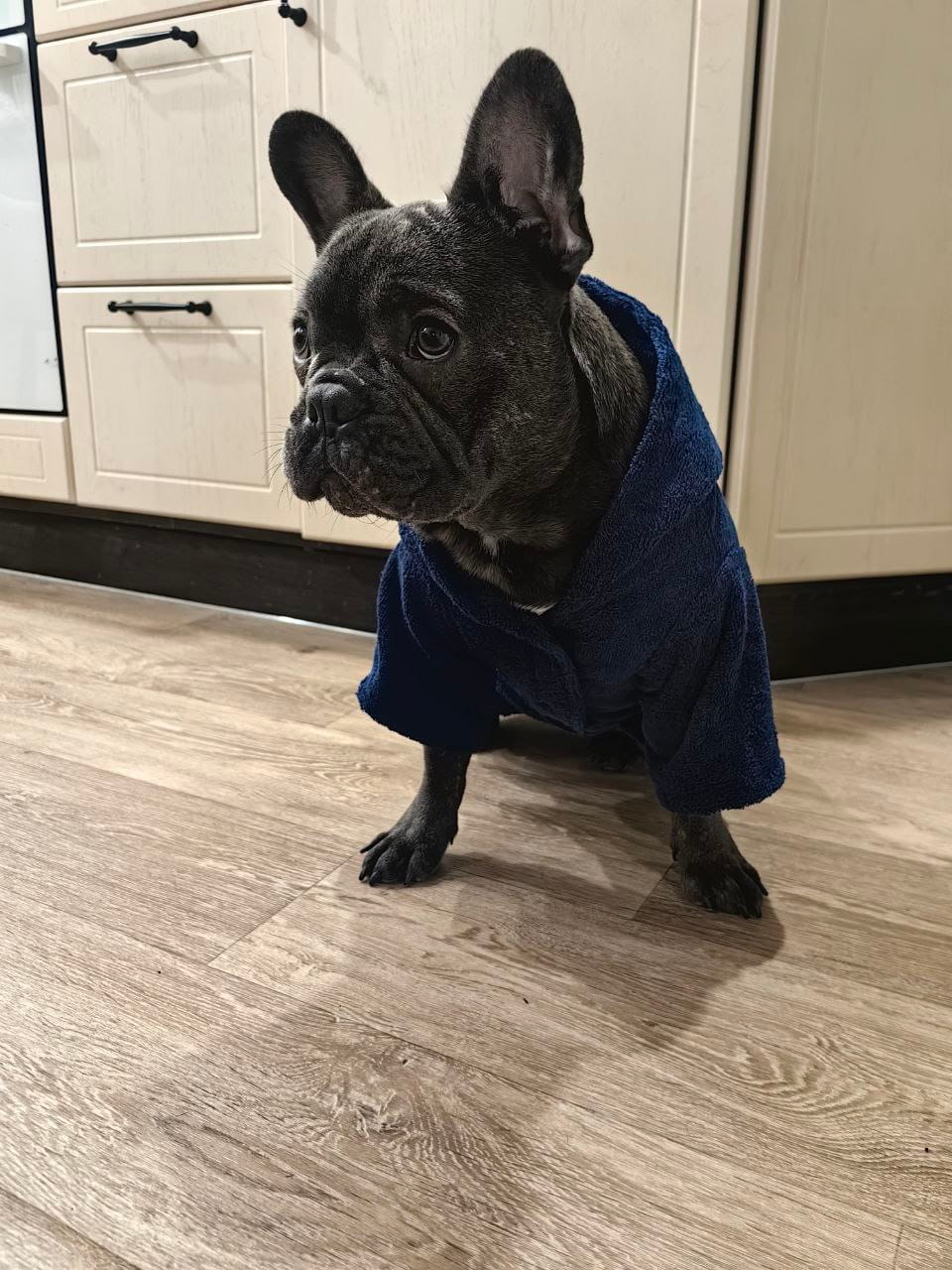 снимок Халат для собак махровый темно-синий от магазина BIO-TEXTILES ОПТ