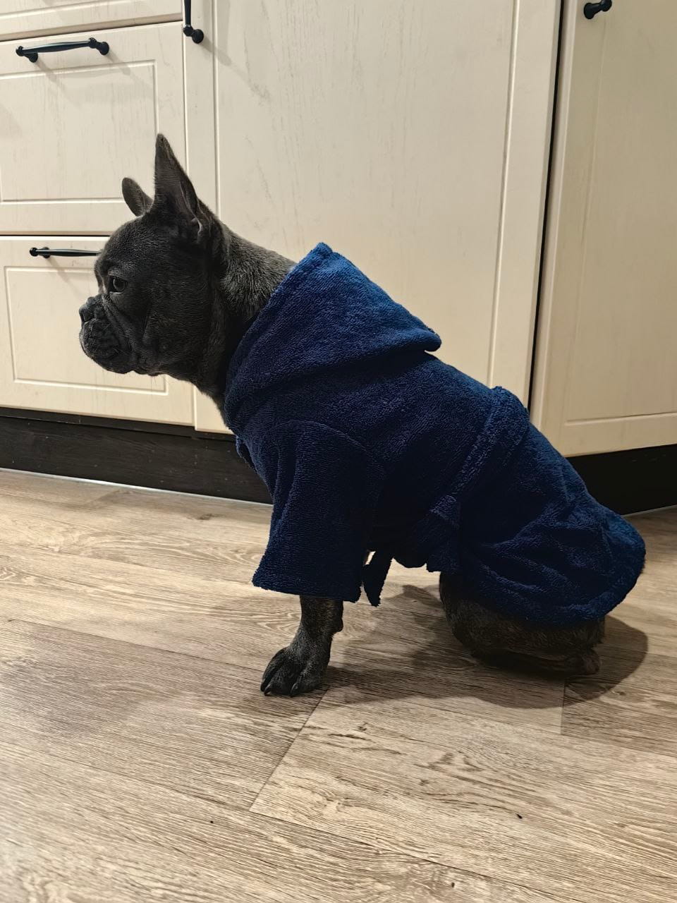 снимок Халат для собак махровый темно-синий от магазина BIO-TEXTILES ОПТ